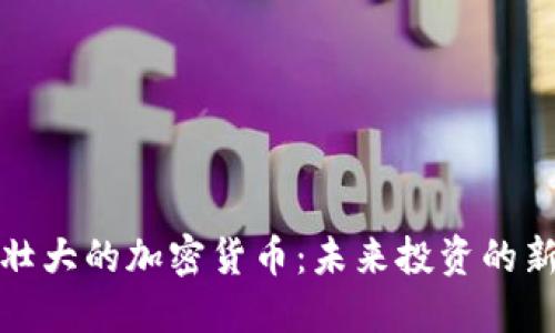 悄悄壮大的加密货币：未来投资的新机会