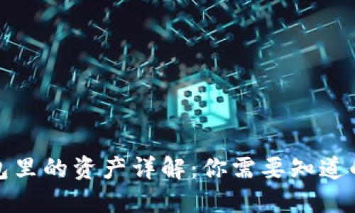 TP钱包里的资产详解：你需要知道的一切