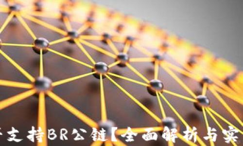 
TP是否支持BR公链？全面解析与实用指南